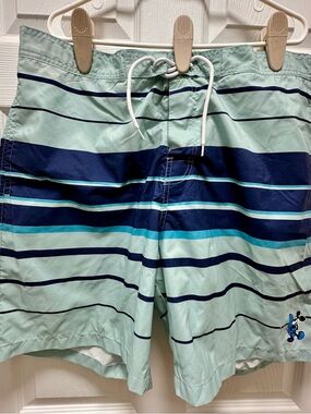 Men's Disney Mint and Navy Striped Athletic Swim Shorts featuring Mickey Mouse!